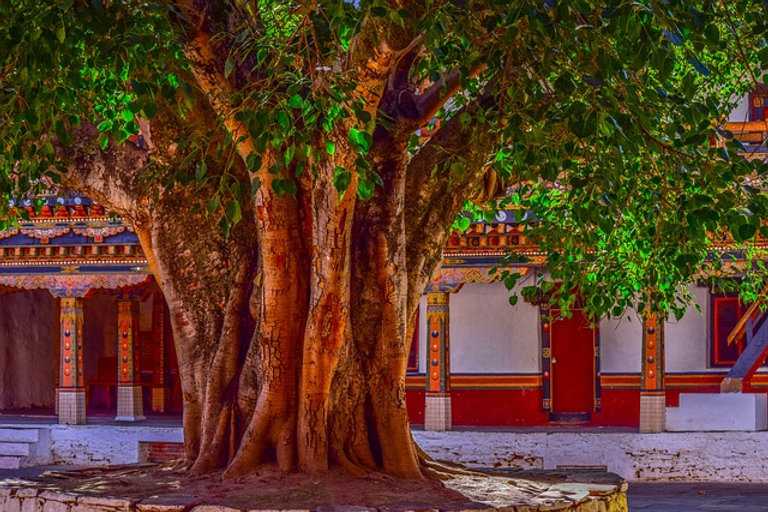 वटपौर्णिमा